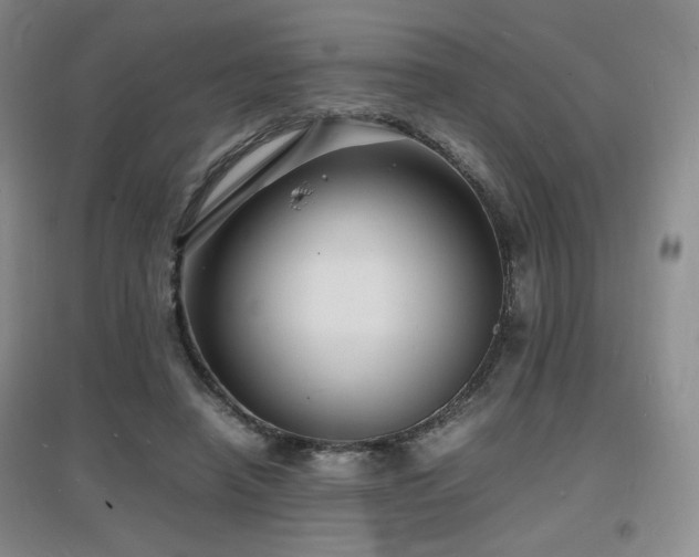 X0000097620450200802291329