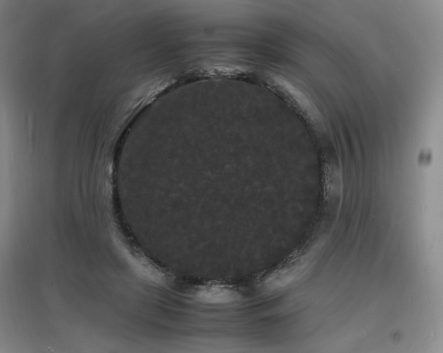 X0000097620451200802291329