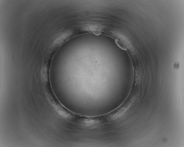 X0000097620453200802291329