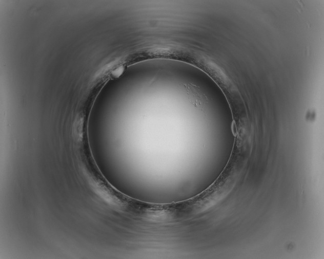 X0000097620454200802291329