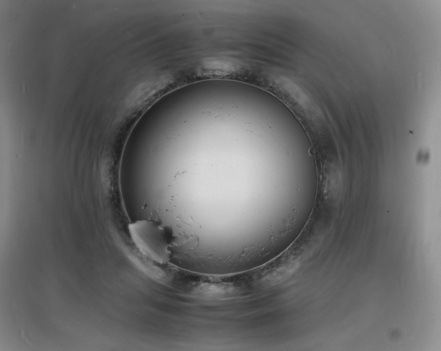X0000097620455200802291329