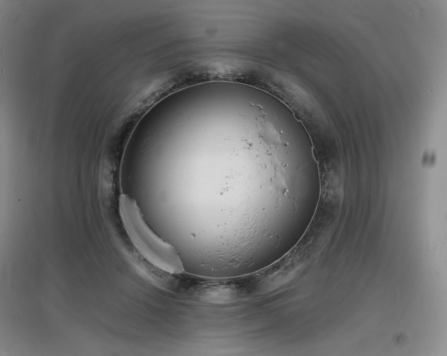 X0000097620456200802291329