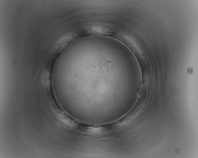 X0000097620457200802291329