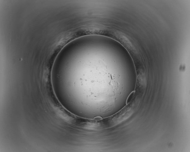 X0000097620458200802291329