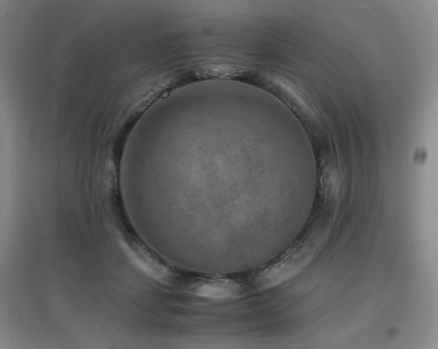 X0000097620459200802291329