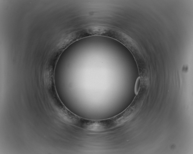 X0000097620460200802291329