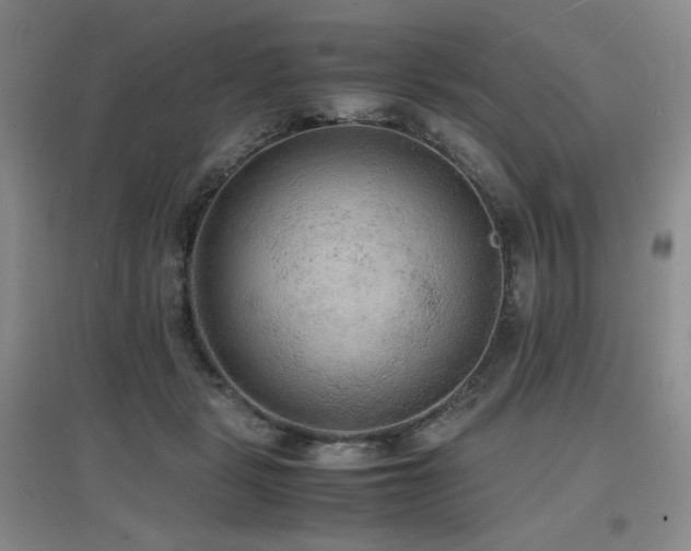 X0000097620461200802291330
