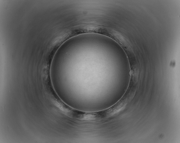X0000097620462200802291330