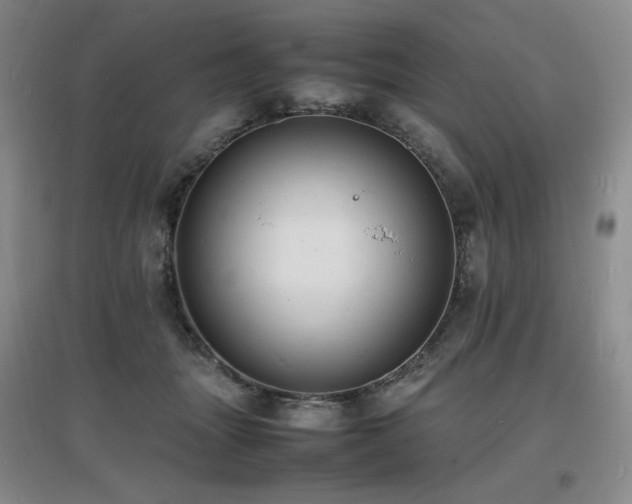 X0000097620463200802291330