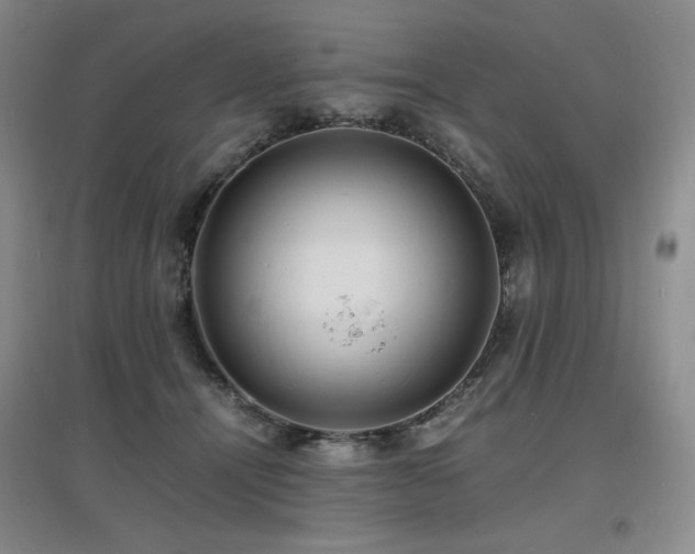 X0000097620464200802291330