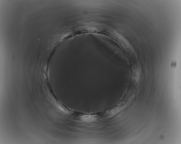 X0000097620465200802291330