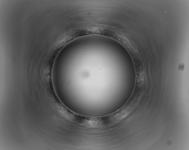 X0000097620466200802291330