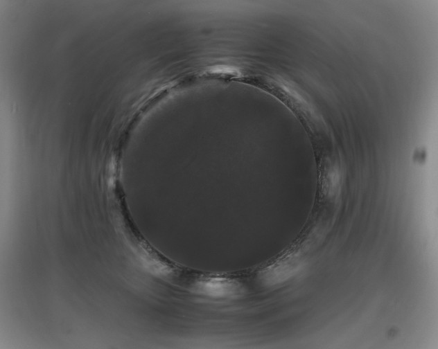 X0000097620467200802291330