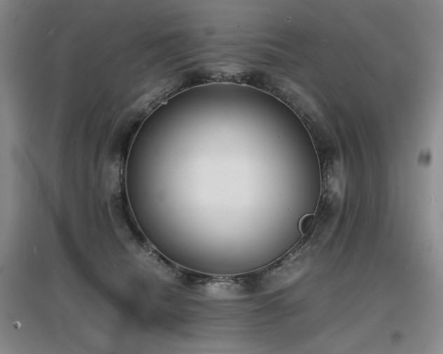 X0000097620468200802291330
