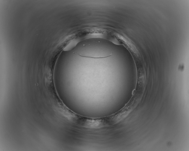 X0000097620469200802291330