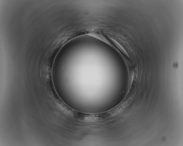 X0000097620470200802291330