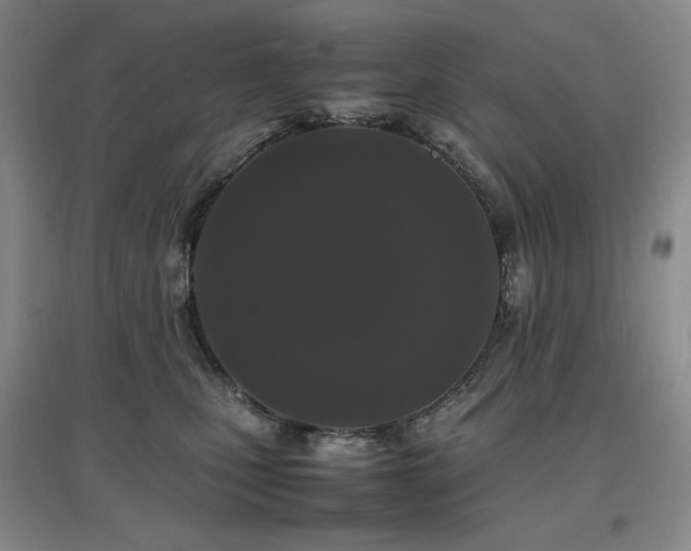 X0000097620471200802291330