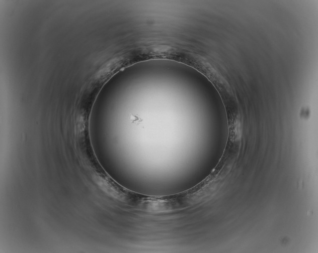 X0000097620472200802291330