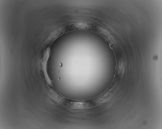 X0000097620473200802291330