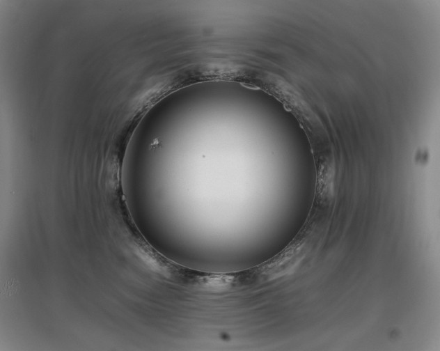 X0000097620474200802291330
