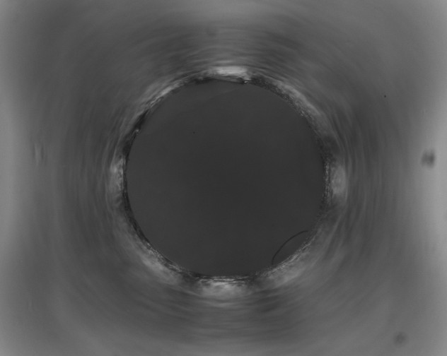X0000097620475200802291330