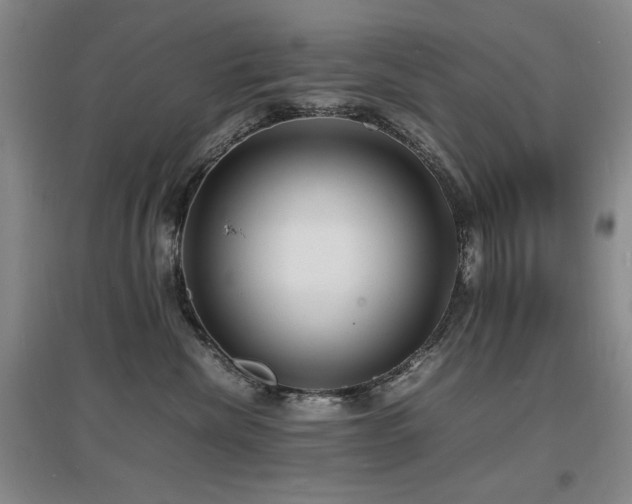 X0000097620476200802291330