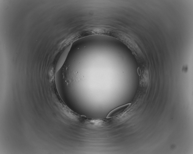 X0000097620478200802291330