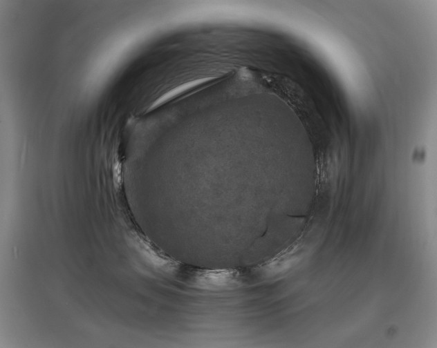 X0000097620479200802291330