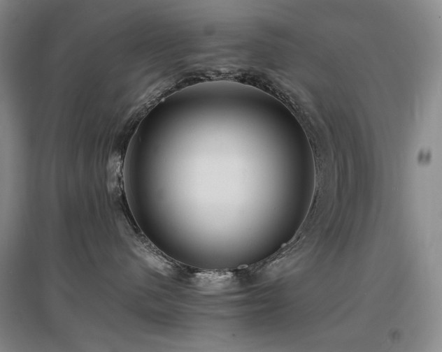 X0000097620480200802291330