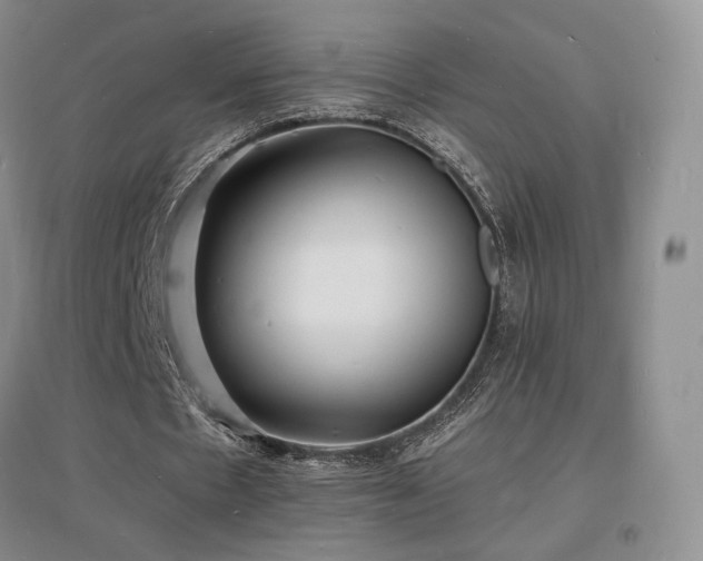 X0000097620481200802291329