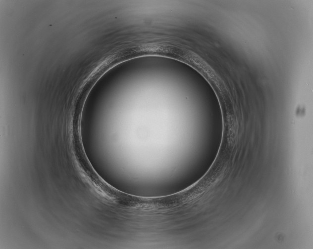 X0000097620482200802291329