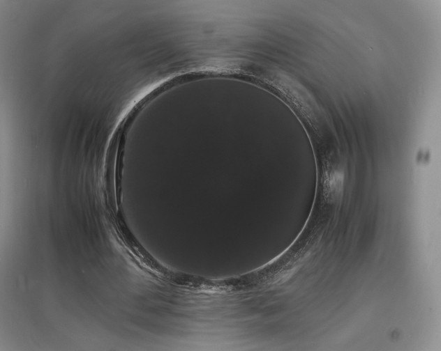 X0000097620484200802291329