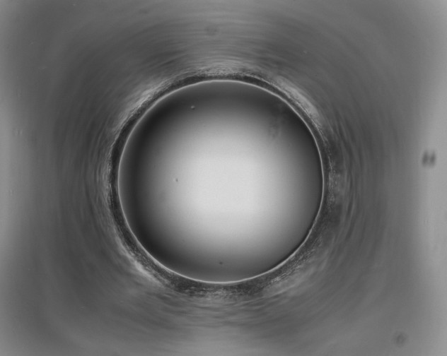 X0000097620485200802291329