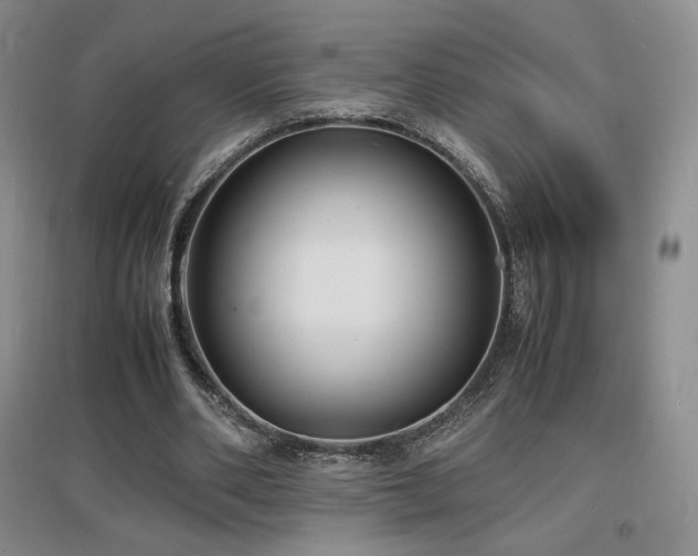 X0000097620486200802291329