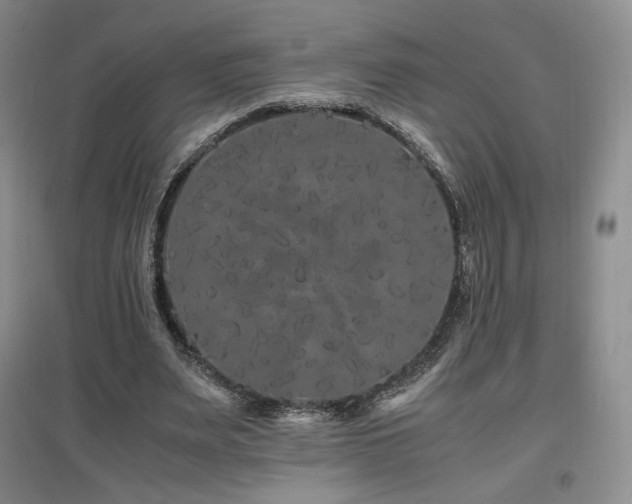 X0000097620487200802291329