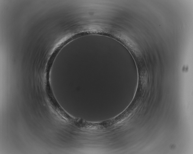 X0000097620488200802291329