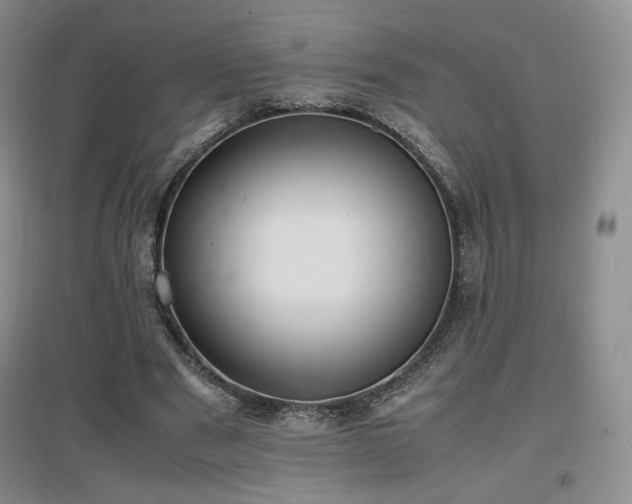 X0000097620489200802291329