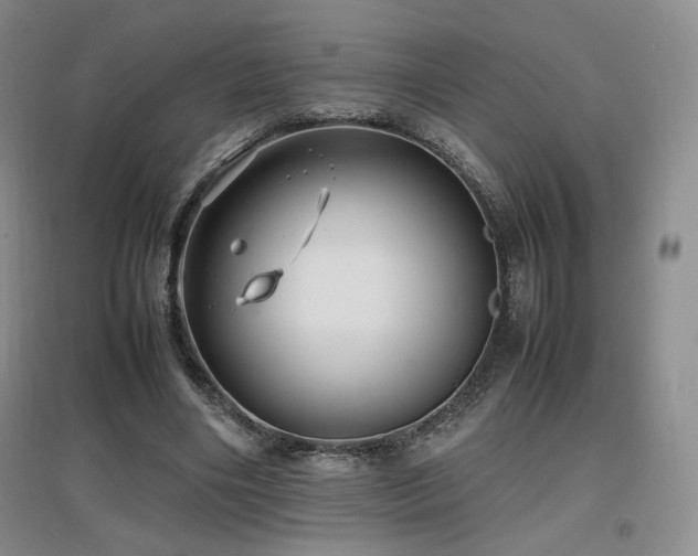 X0000097620490200802291329