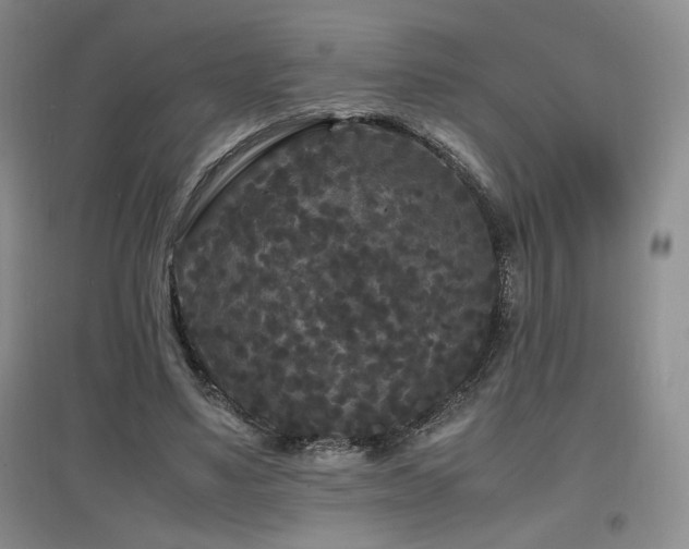 X0000097620491200802291329