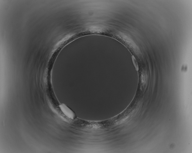 X0000097620492200802291329