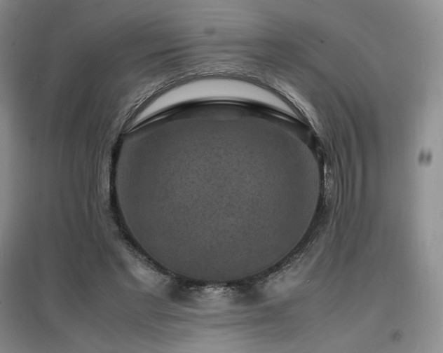 X0000097620493200802291329