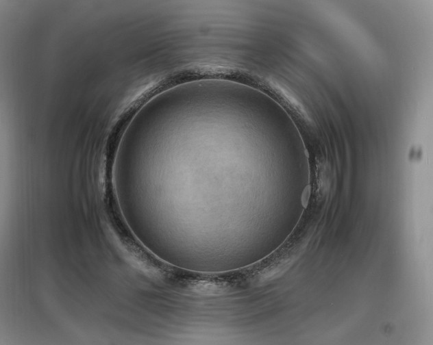 X0000097620494200802291329