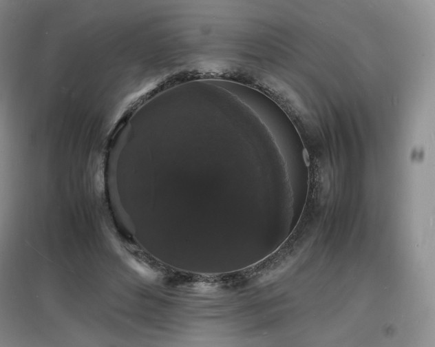 X0000097620496200802291329