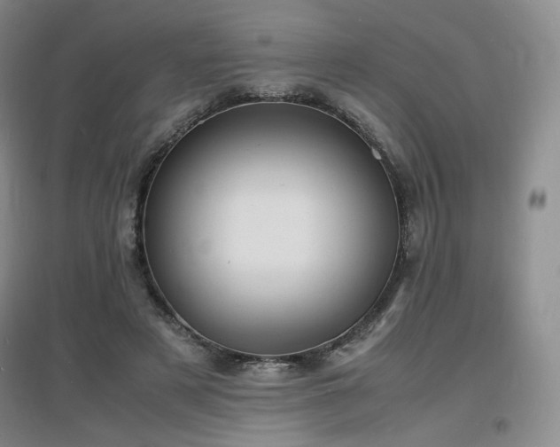 X0000097620497200802291329