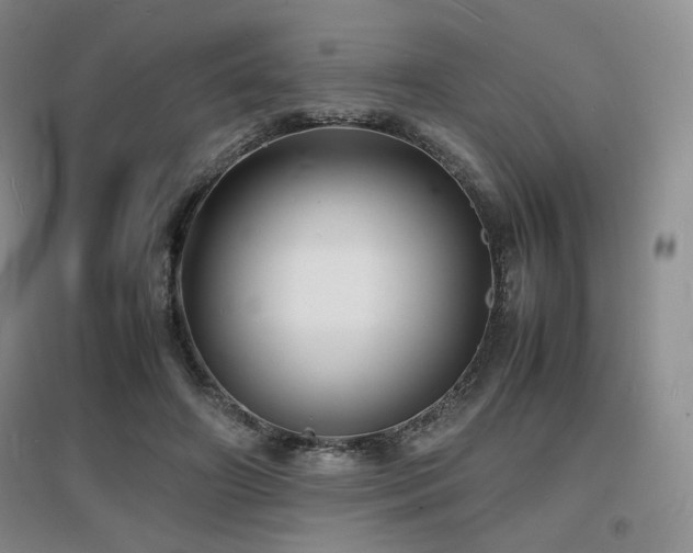 X0000097620498200802291329