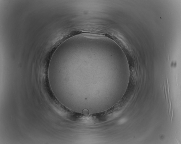 X0000097620499200802291329