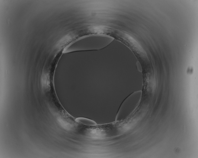 X0000097620500200802291329