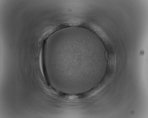 X0000097620501200802291329