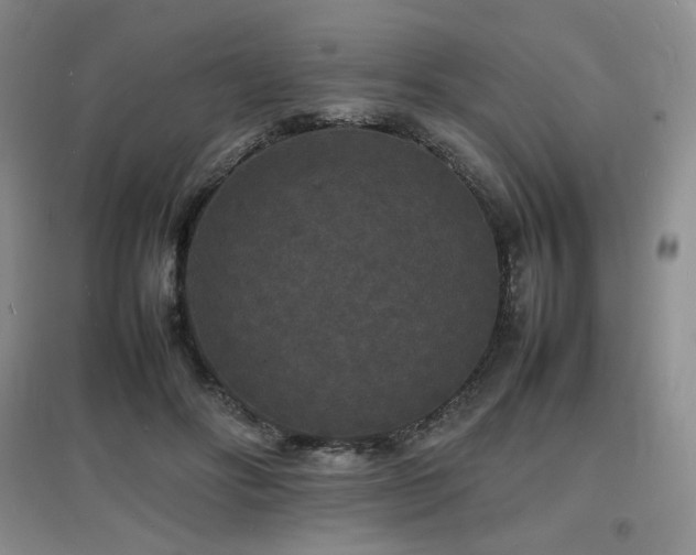 X0000097620502200802291329