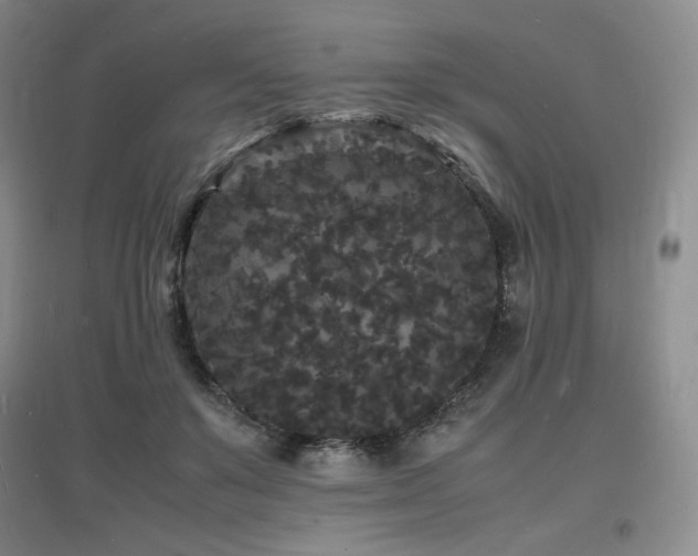 X0000097620503200802291329